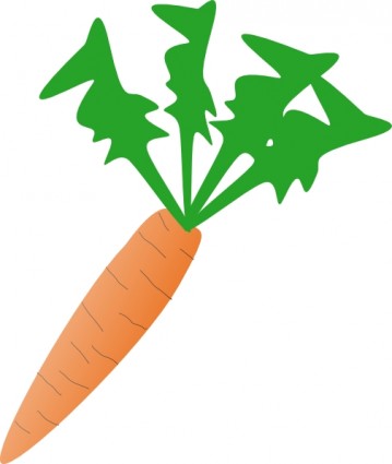 clipart de carotte