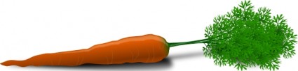 clipart de carotte