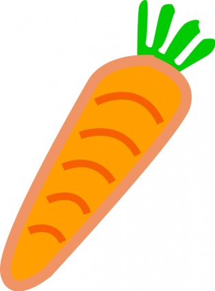 Karotte orange mit grünen Blätter