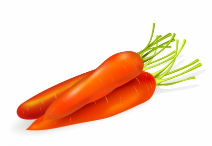 zanahorias aisladas