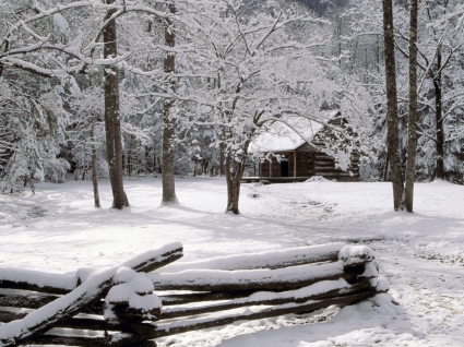 cabina de escudos de Carter en la naturaleza de invierno winter wallpaper