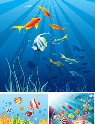 vector de dibujos animados escenas marinas