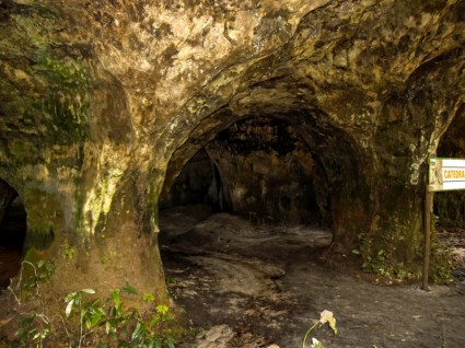 カテドラルの洞窟自然