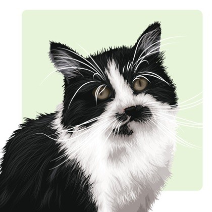 kucing vektor gambar