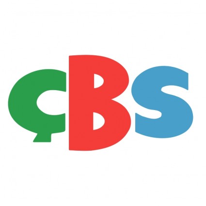 CBS boya kimya