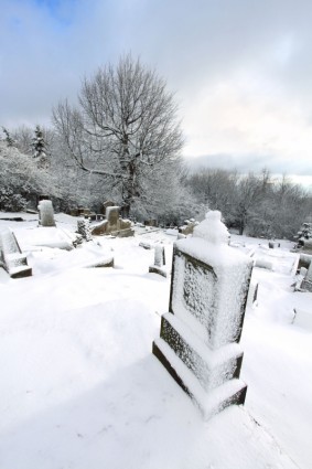 冬の墓地