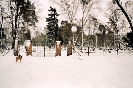 Cemetery In Winter Near Lublin
