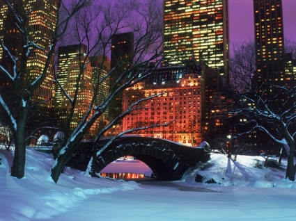 Central Park'ta kış duvar kağıdı Kış Doğa
