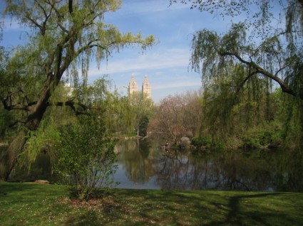 Central park en Nueva york