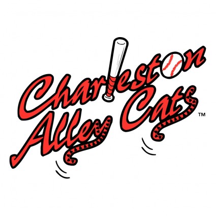 gatos de aléia de Charleston