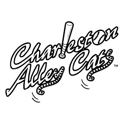 gatos de aléia de Charleston
