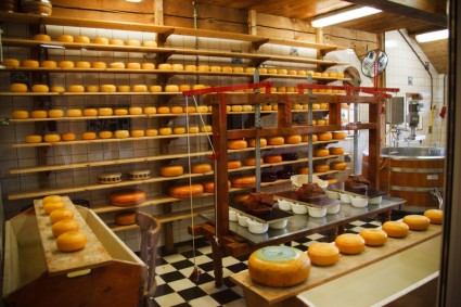 مصنع الجبن