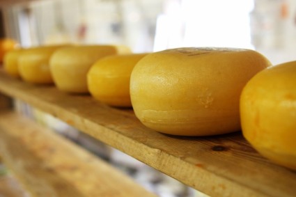 Käse auf Regal