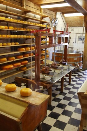 치즈 생산