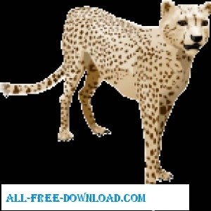 Gepard-Vektor