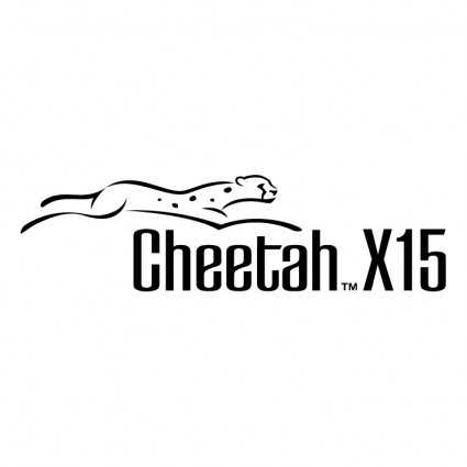 Cheetah x 15