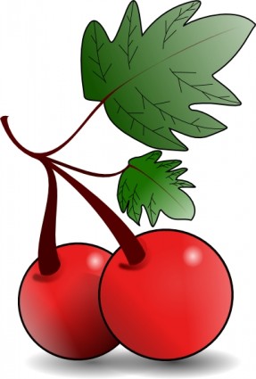 clip art de frutas de cerezas