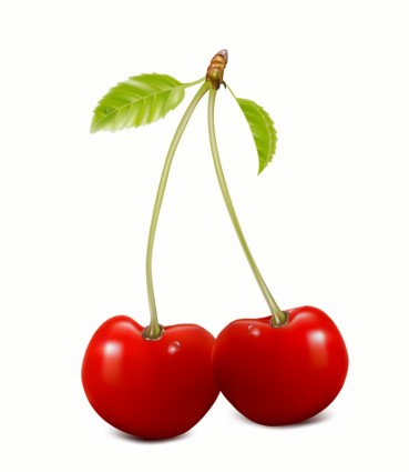 cereza cereza
