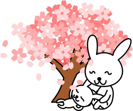 królik kwiaty wiśni