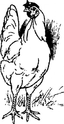 鶏のクリップアート