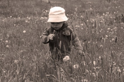 trẻ em ở meadow