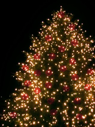 Natal pohon Natal lichterkette