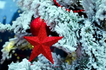 クリスマスの星