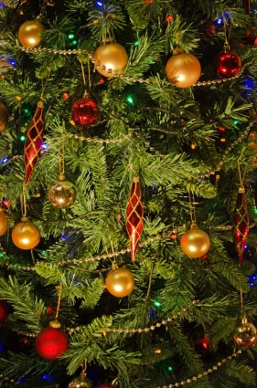 pohon Natal