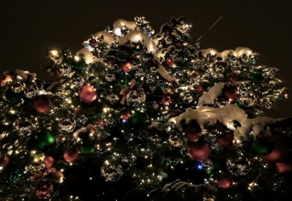 كرات عيد الميلاد شجرة عيد الميلاد
