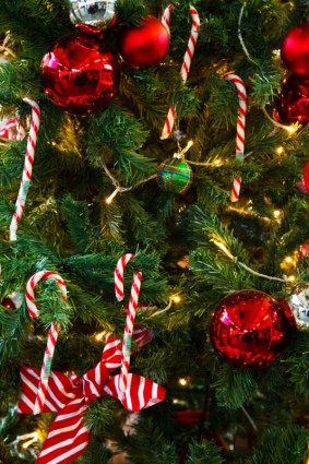 detalhe da árvore de Natal
