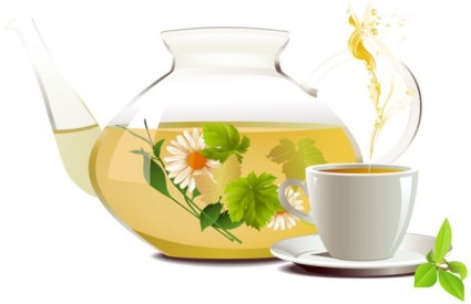 vector de té de té de crisantemo
