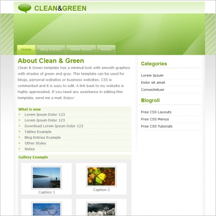 Clean Amp Green Template