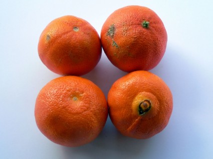 fruta de Clementina