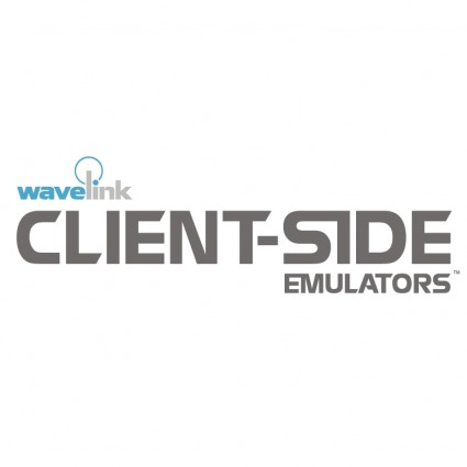 Client Side Emulators