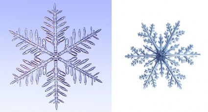 Close Snowflakes Hd Larger Image