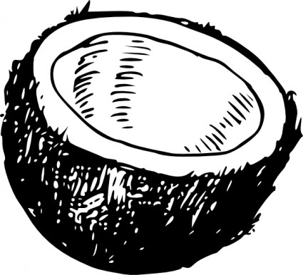 코코넛 클립 아트