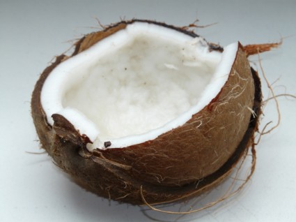 Coconut Coconuts Exotic