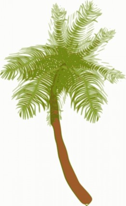 image clipart arbre de noix de coco