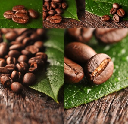 imagens de highdefinition de grãos de café