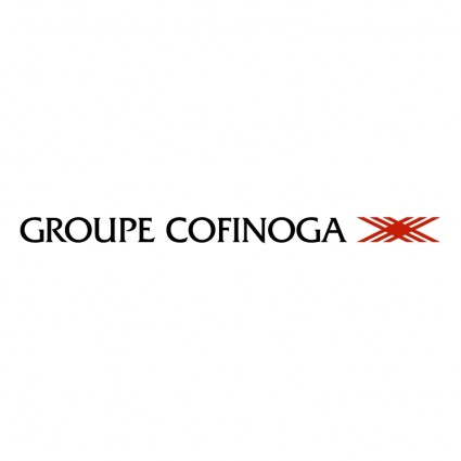 groupe Cofinoga