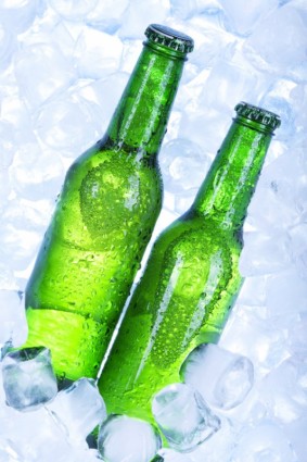 Cold Beer Hd Pictures