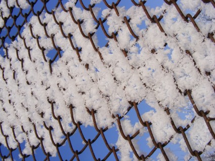 recinzione fredda congelata