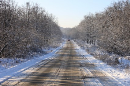 strada forestale freddo