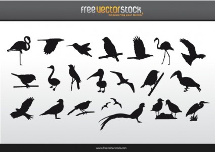 Коллекция силуэты птиц