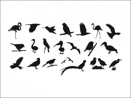 مجموعة من الصور الظلية الطيور