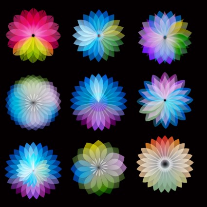 flores de la rueda de color