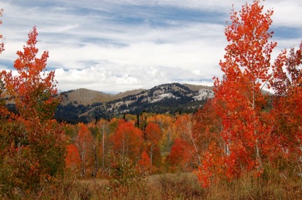 Colorado cảnh quan thiên nhiên