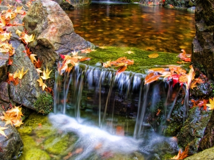 colorfall hình nền thác nước tự nhiên