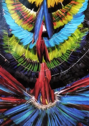 Amazonka kolorowych ptaków nakrycia głowy