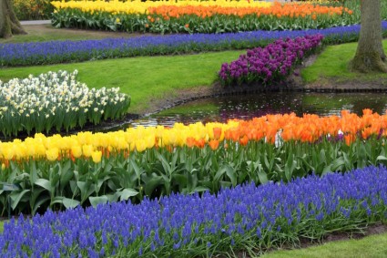 Taman bunga yang berwarna-warni